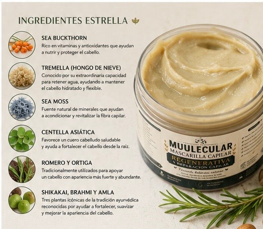 Mascarilla Capilar Regenerativa MUULECULAR – 10 oz