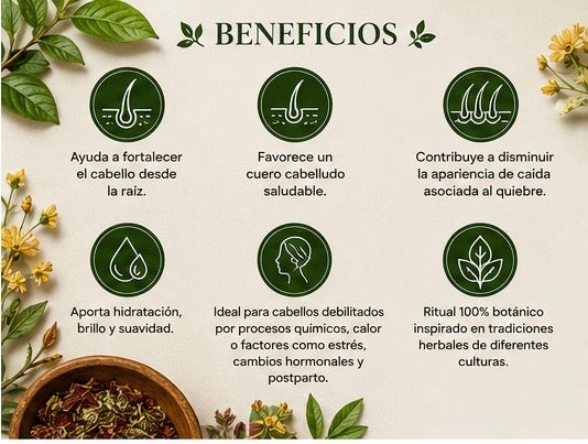 Kit Regenerador Capilar Botánico Premium