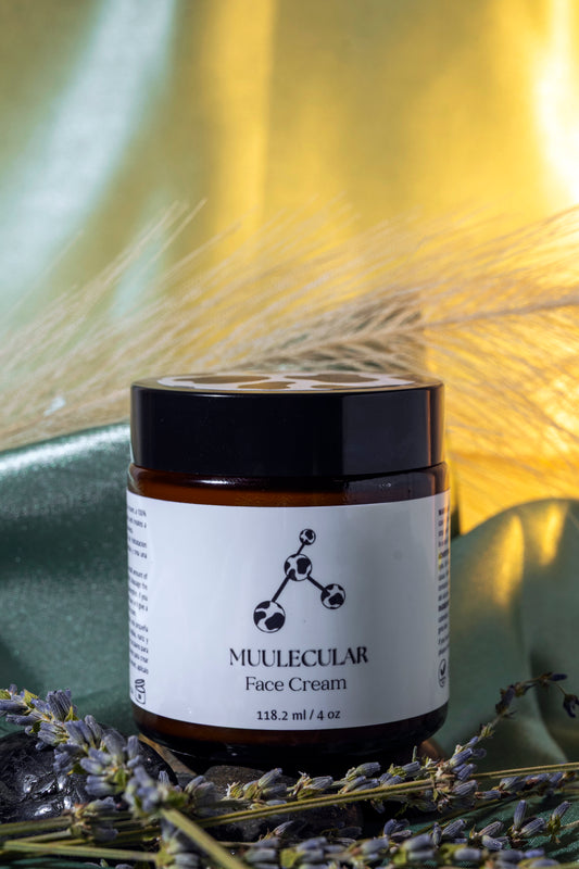 Beef Tallow Face Cream